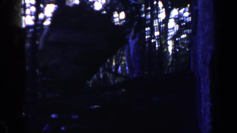 1957 Birmingham 8mm frame showing a shadowed wooded work area with a large earth pile and bright light through trees.