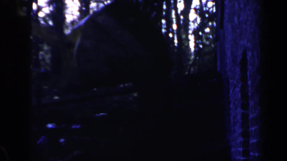 Underexposed 8mm frame from Birmingham shows a wooded construction area with rough ground and a possible person in shadow.