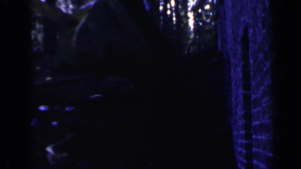 The closing 1957 Birmingham frame shows a dark wooded work area with tree trunks, rough earth, and indistinct site activity.