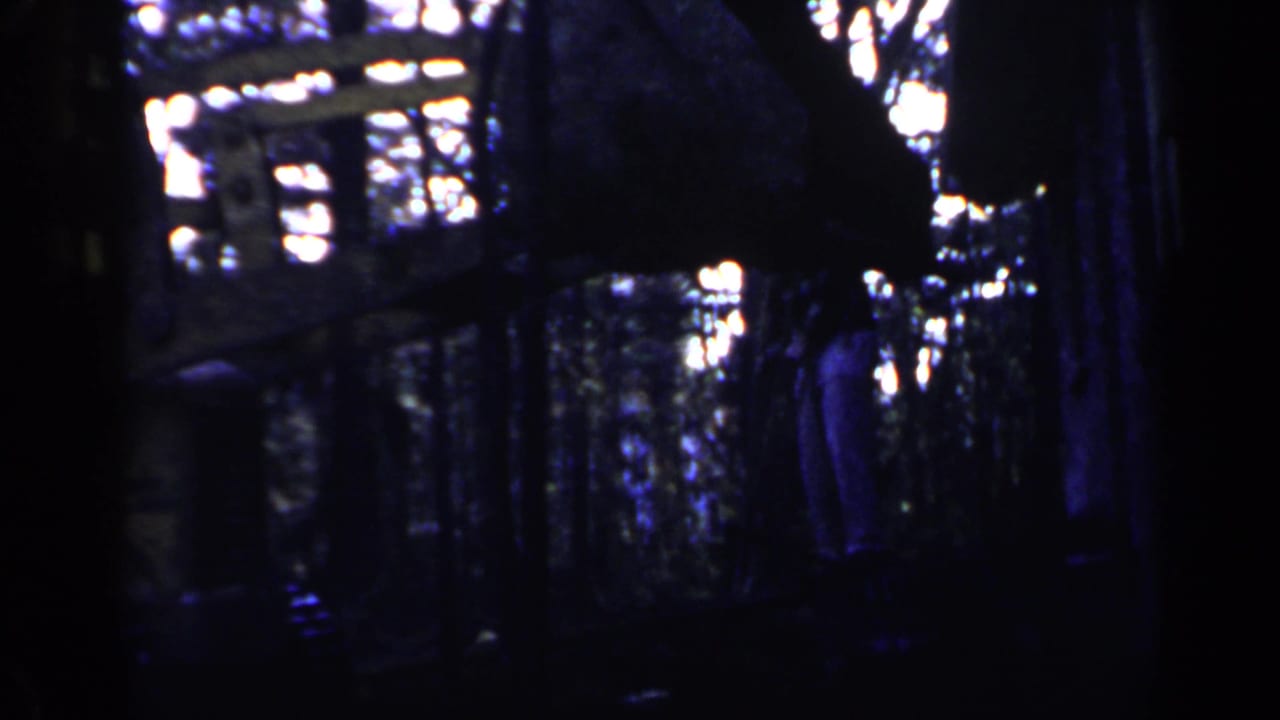 Dark wooded scene with tree trunks and a partially visible structure or equipment in shadow.