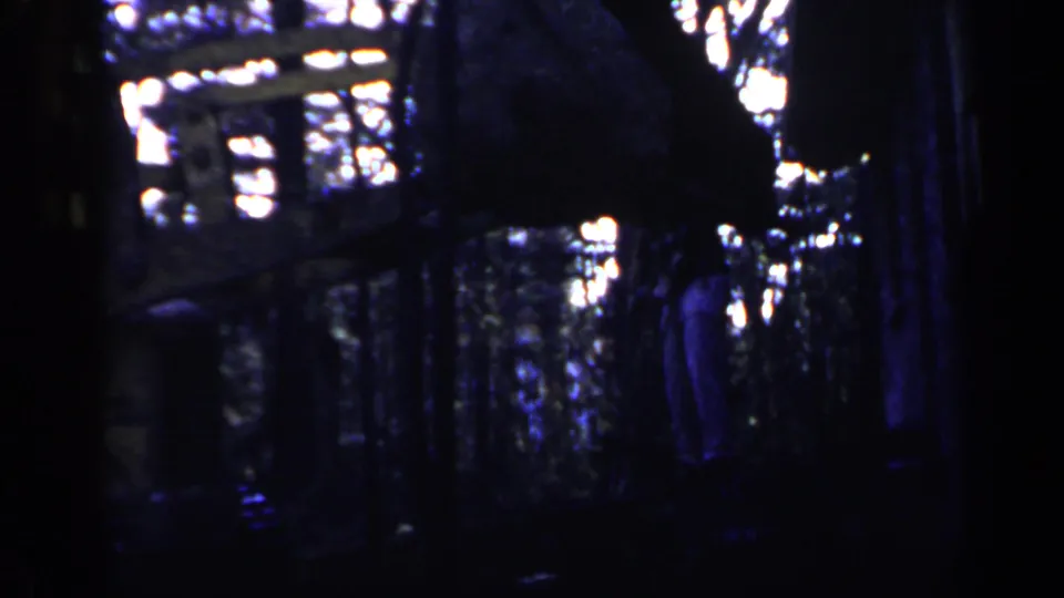 Birmingham, Alabama 1957 home-movie frame showing a dim wooded area with trees and indistinct construction activity in deep blue shadow.