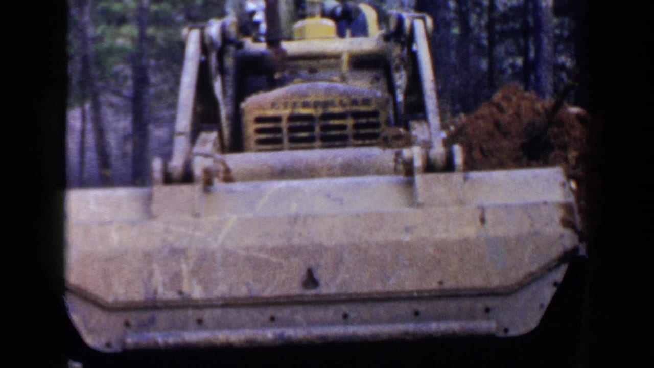 Bulldozer front blade and operator area seen between tree trunks.