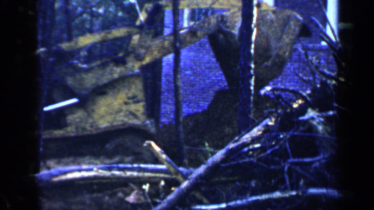 Yellow tracked bulldozer partly hidden by branches in a dark wooded area.