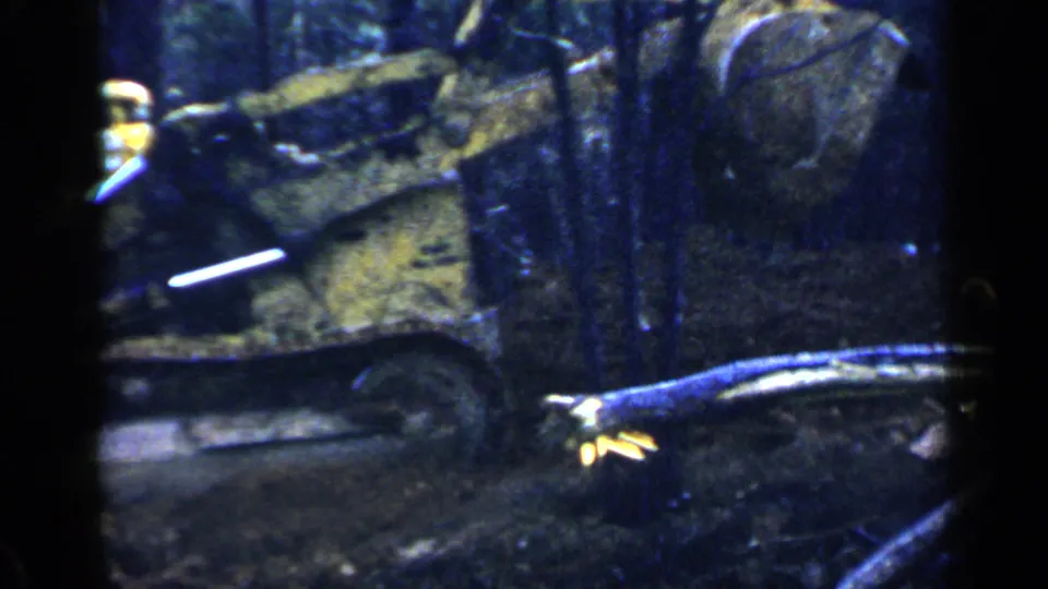 A side view of the yellow tracked bulldozer is partially blocked by foreground branches in wooded Birmingham footage.