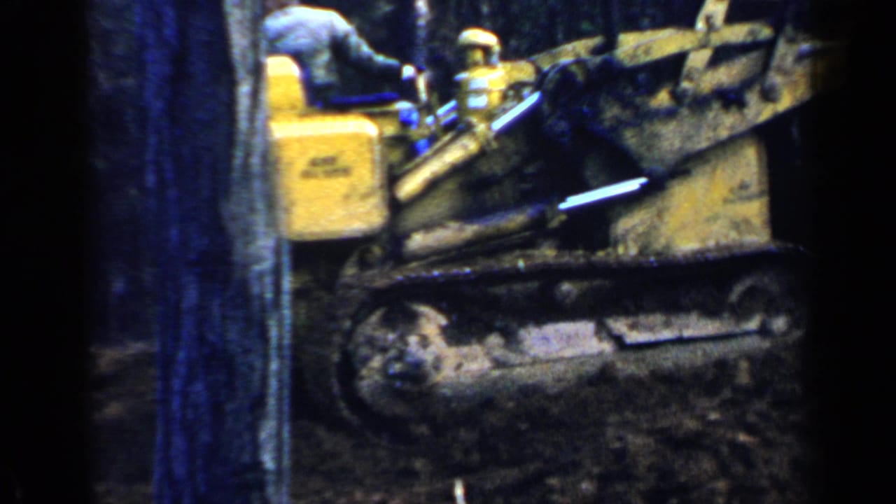 Yellow bulldozer passing between trees with an operator partly visible.