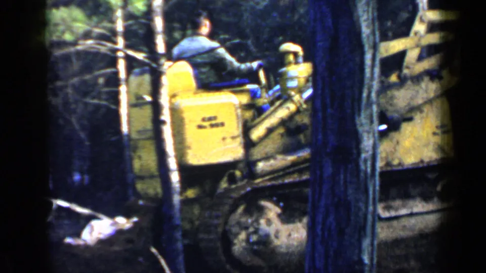 Man in a blue shirt operates a yellow bulldozer among trees in Birmingham, Alabama, according to the clip metadata.