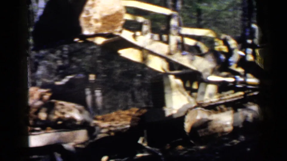 Yellow loader operates near a dump truck in a wooded Birmingham-area worksite, with the bucket raised over debris.