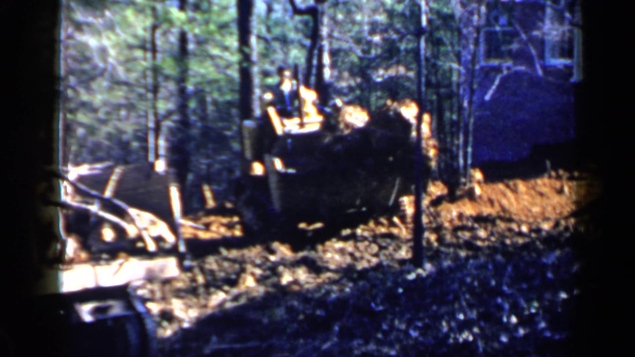 Bulldozer working among trees beside debris and a small structure.