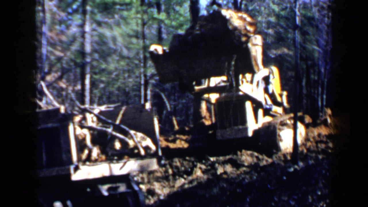 Yellow front-end loader pushes through a wooded clearing with debris in its bucket.