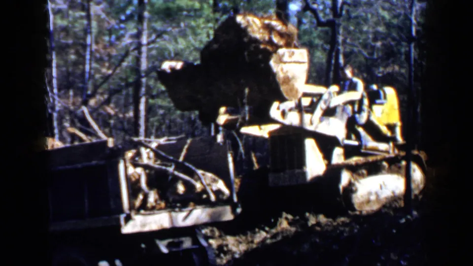 Yellow loader and dump truck bed appear in a wooded Birmingham worksite, with debris held near the raised bucket.