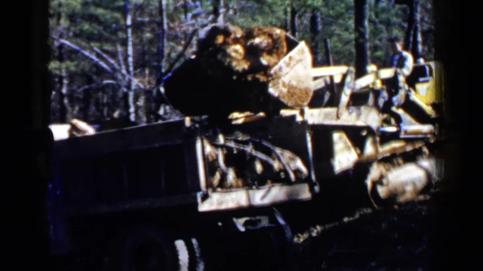 The front-end loader holds a load of debris near a truck bed during wooded land-clearing work in Birmingham, Alabama.