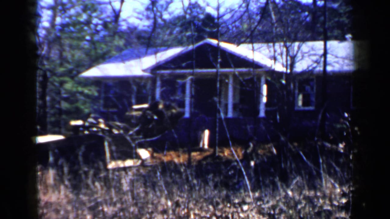 Yellow bulldozer near a brown house, partly obscured by trees and tall grass.