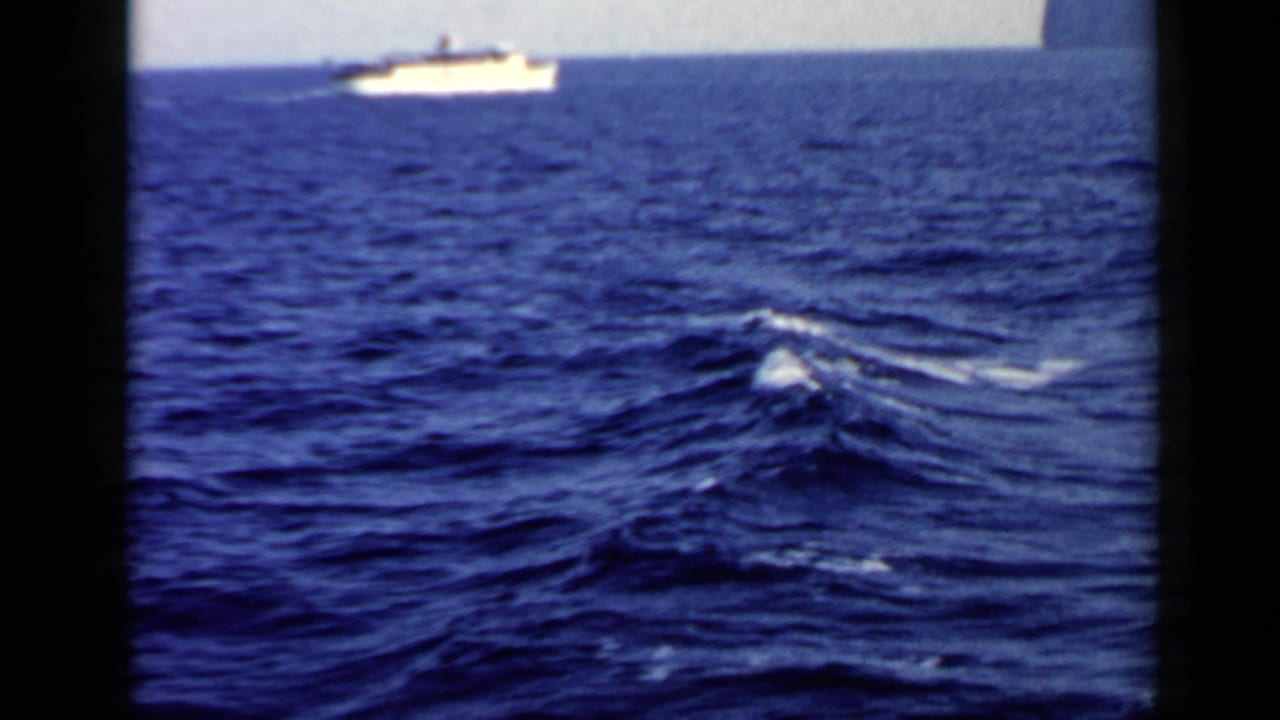 Dark blue waves with white foam and a distant white boat near the horizon.
