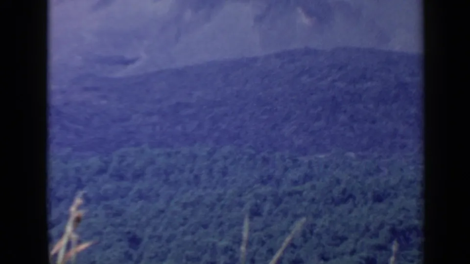 1960 travel footage frame showing a forested hillside below a distant mountain ridge, with haze and visible 8mm film grain.