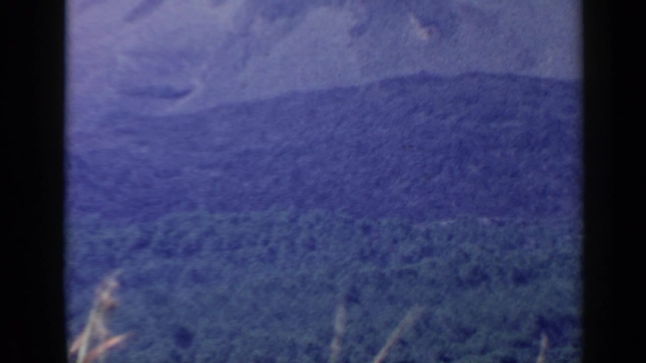 Forested mountain slope seen through a soft 8mm frame border.