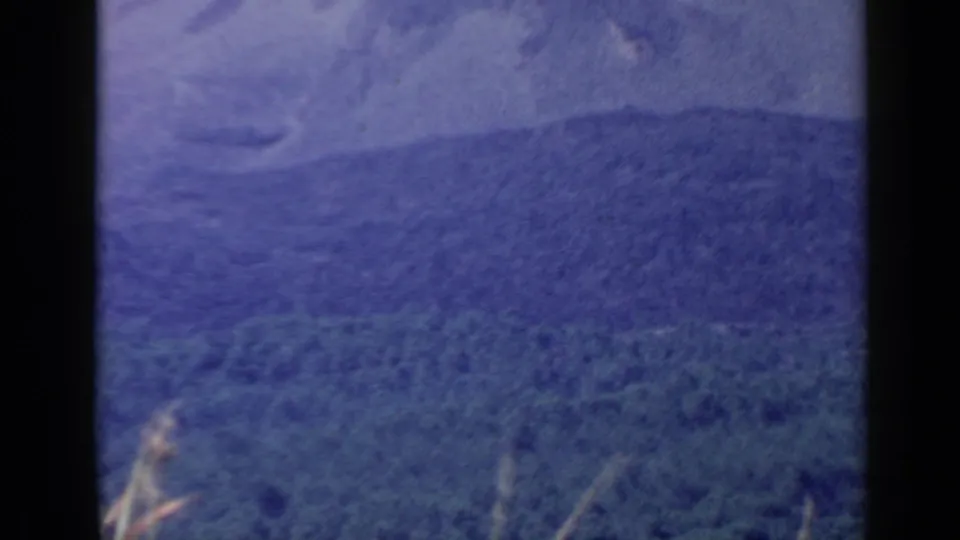 1960 8mm view of a wooded mountain slope near Rome, Italy, with soft focus and visible film edges.