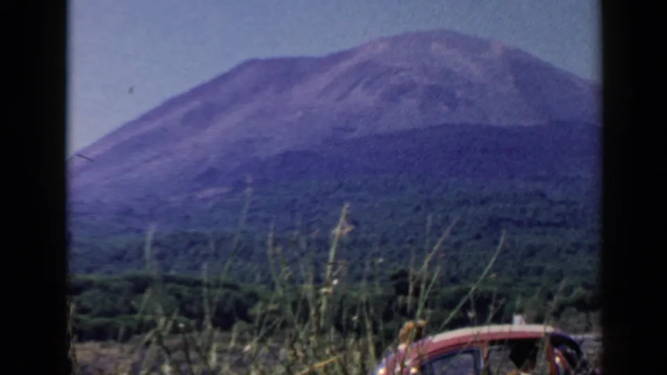 1960 8mm view of the mountain and forest, with tall grasses and a partial vintage car roof at the lower right.