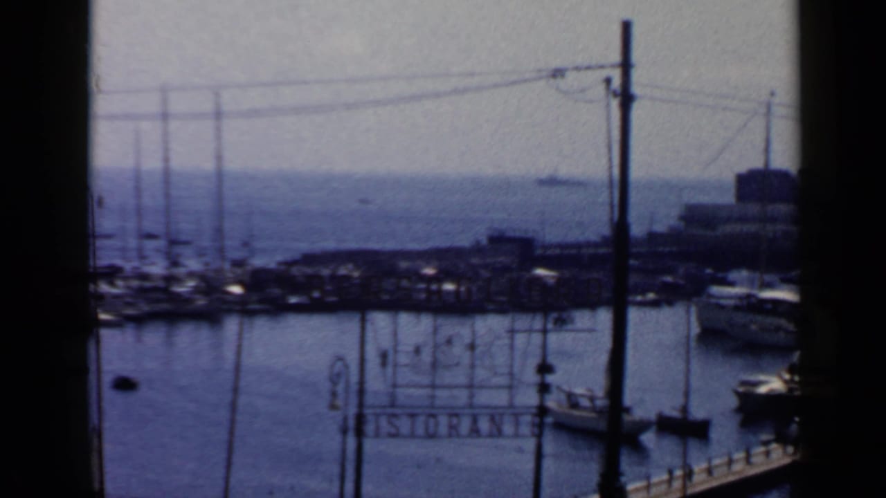 Harbor view with boats, masts, water, utility poles and a ristorante sign.