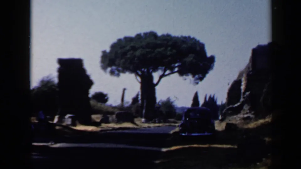 1960 Rome 8mm frame with a broad pine centered among ancient-looking ruins and a dark car partly visible near the right edge.