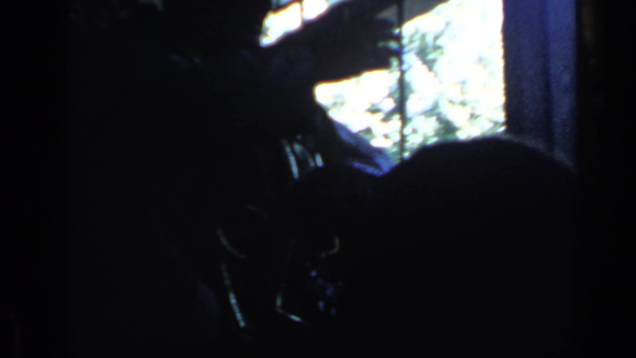 Dark interior silhouette near a bright window with foliage outside.