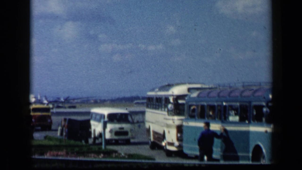 Man in a blue shirt stands beside a blue and white bus near parked airport vehicles.