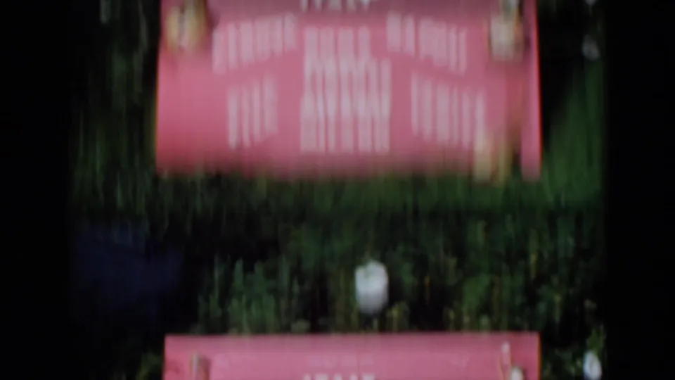 1960 Venice home-movie frame with a blurred pink decorative sign set among dark foliage and grass.