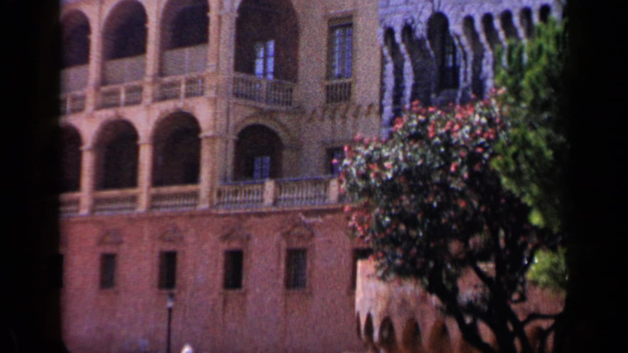Brown brick building with arched balconies and a flowering tree at the right edge.