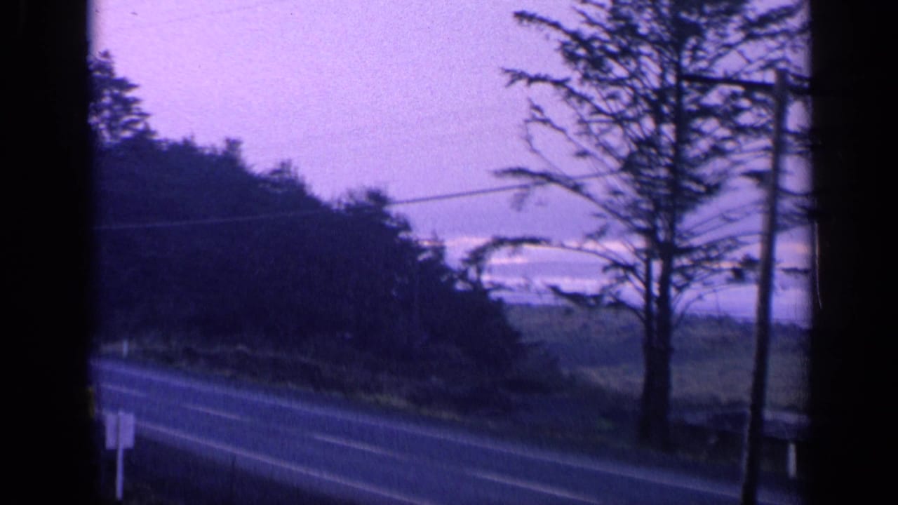 1963 California home-movie frame showing a roadside view with tall trees, utility poles, low fields, and a purple coastal sky.