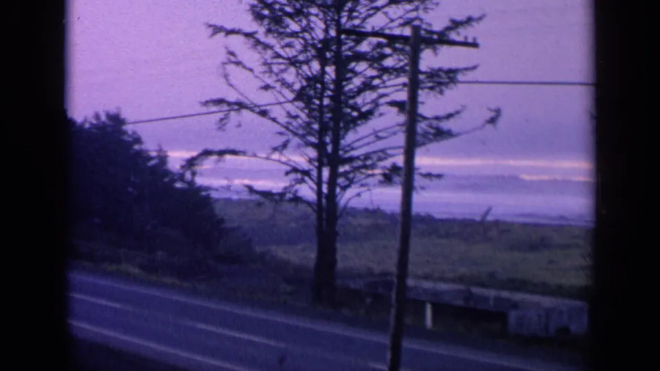 1963 California coastal road scene viewed from a moving vehicle, with dark trees, roadside poles, fields, and a soft purple horizon.