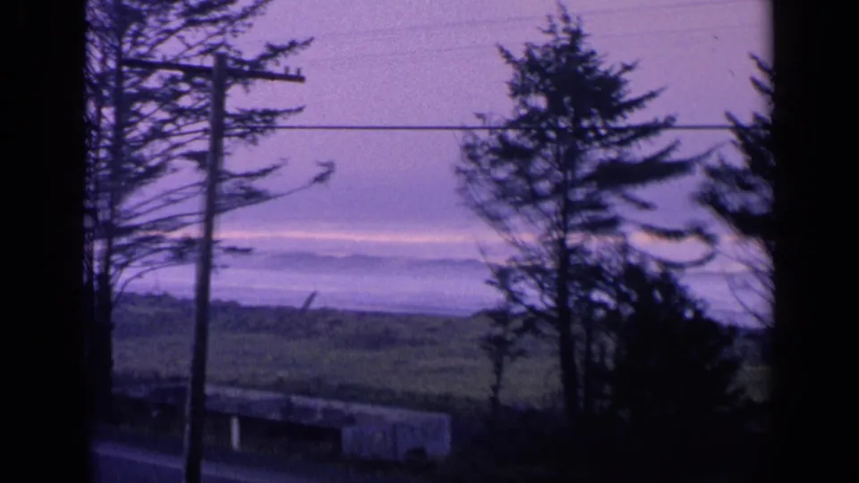 1963 California home-movie frame showing silhouetted roadside trees, a utility pole, open coastal land, and a purple-pink sky.