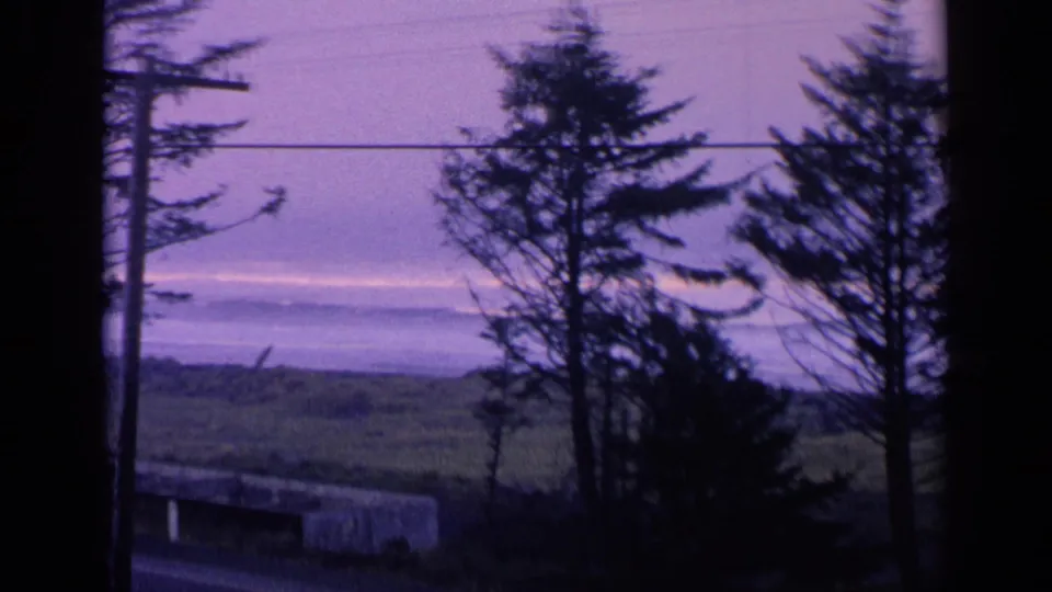 1963 California 8mm frame showing dark evergreen trees, grass, distant water, and a pale purple sky crossed by a utility line.
