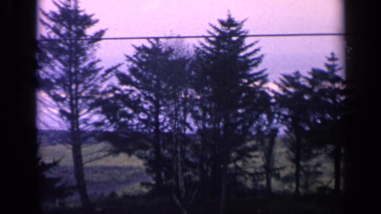 1963 California 8mm frame showing dark pine trees, open field, and a telephone wire beneath a soft blue-purple sky.