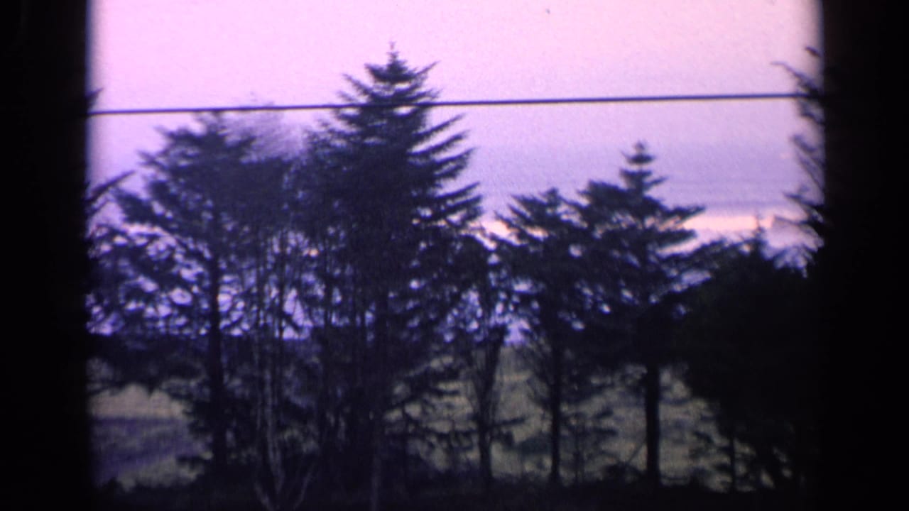 Tree silhouettes and a telephone wire crossing the upper frame above a green field.