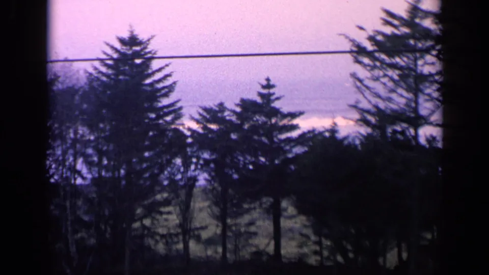 1963 California 8mm still with silhouetted trees, a telephone wire, muted sky, and field seen from a window-like viewpoint.
