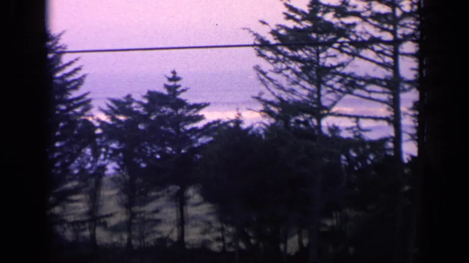 1963 California home-movie frame showing pine branches, dark tree forms, a horizontal telephone wire, and grassy land.
