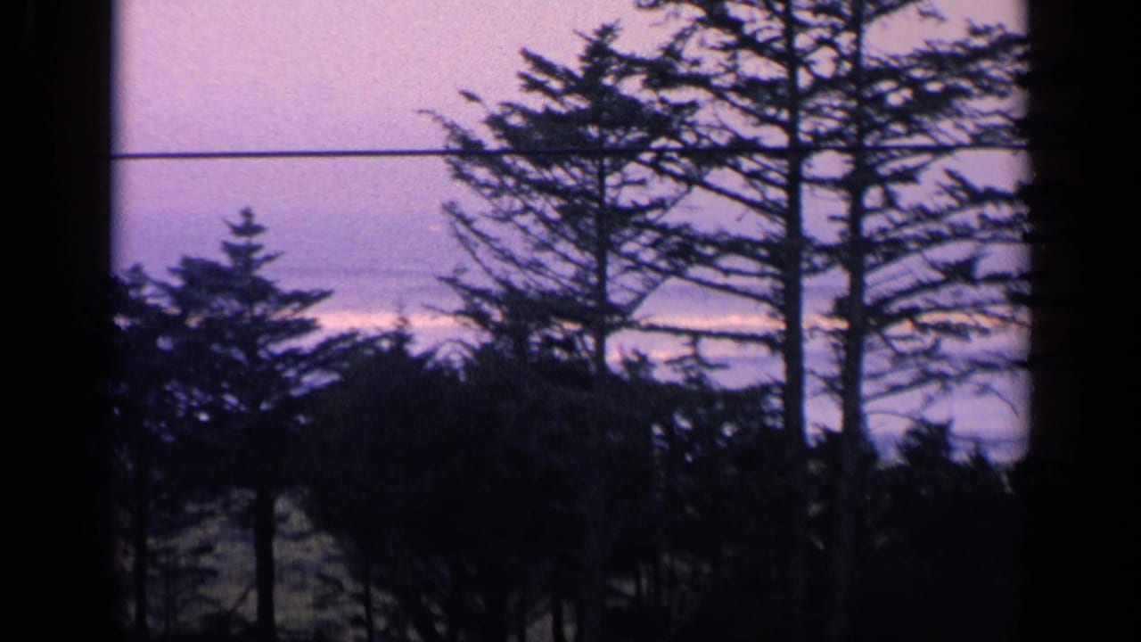1963 California 8mm frame of dark evergreen silhouettes against a distant ocean horizon and purple twilight sky.