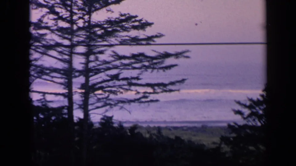 Home-movie frame from 1963 California showing a dark evergreen in front of the ocean and muted evening sky.