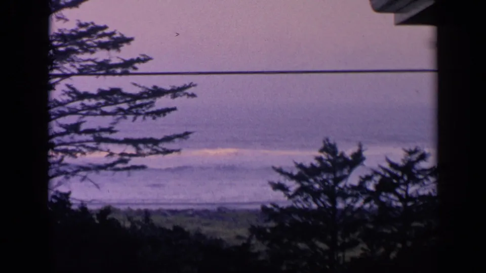 1963 California 8mm coastal frame with silhouetted branches, ocean bands, and a faint structure edge at the top right.