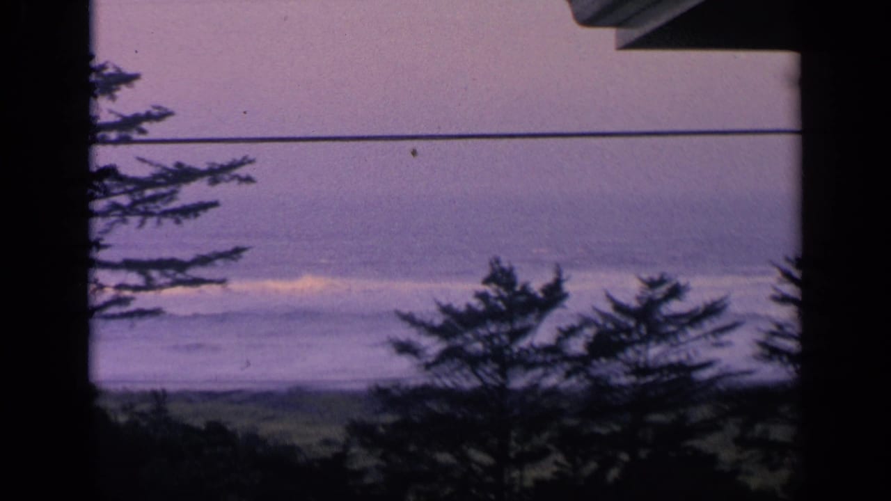 Dark window frame with silhouetted coastal trees and cloudy ocean beyond.