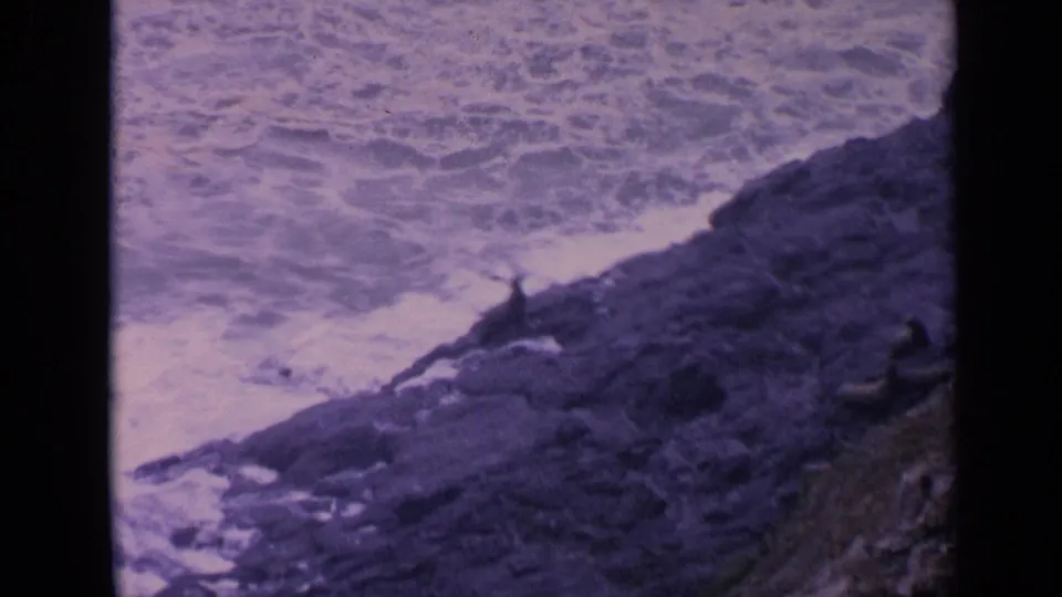 1960s 8mm footage frame with a sea lion near the rock edge and ocean foam along the coast.
