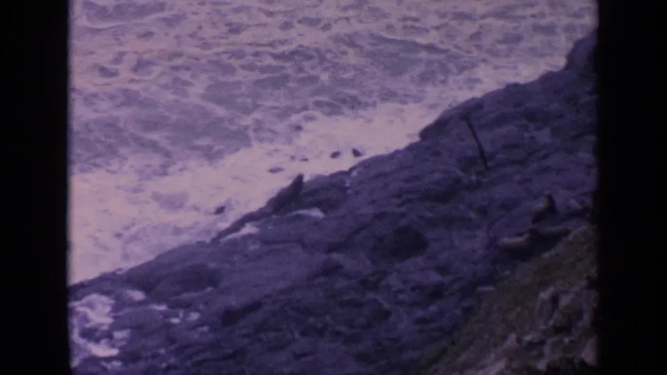 Aged 8mm frame of sea lions on a rugged California shoreline, with white water washing over nearby rocks.