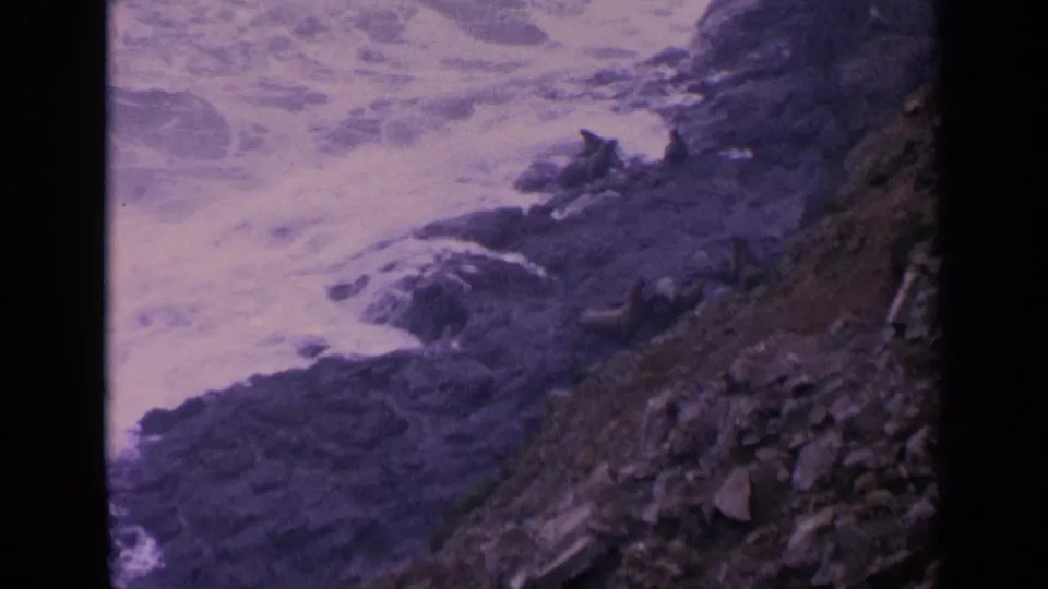 Foamy California surf moves around dark shoreline rocks in a grainy 1963 8mm home-movie frame.
