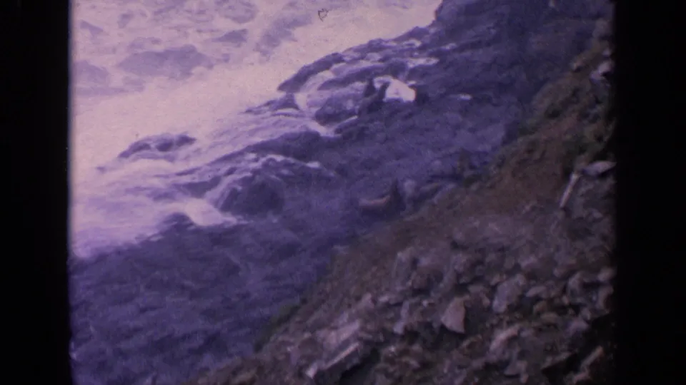 The 1963 California footage shows waves breaking over uneven rocks near sea lion shapes on the shoreline.
