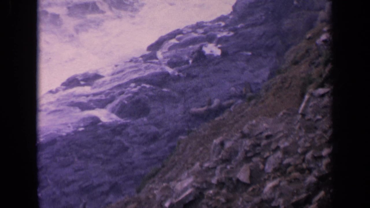 1963 California 8mm frame showing sea lions on rocky coastal terrain with waves breaking along the shore.