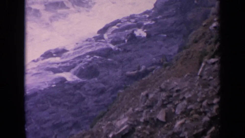 1963 California 8mm frame showing sea lions on rocky coastal terrain with waves breaking along the shore.