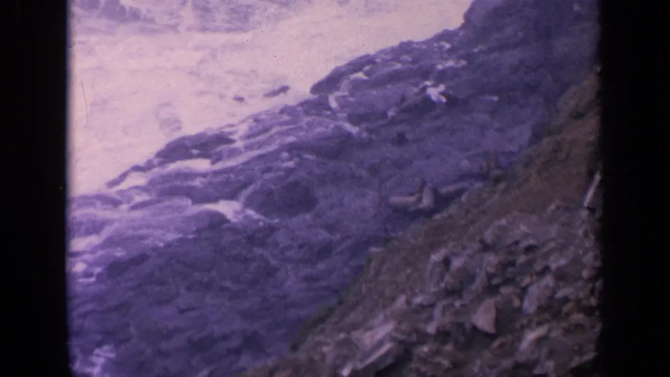 1963 California coastal frame with sea lions on uneven rocks beside foamy surf, tinted by aged 8mm color.