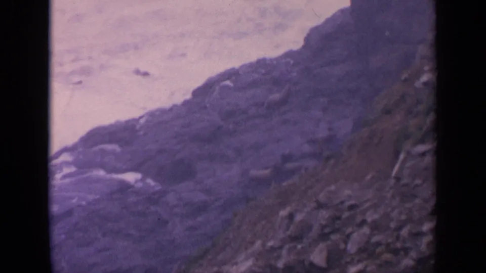 A soft 1963 California 8mm view of sea lions on a rocky slope above active surf.