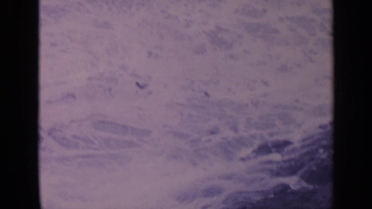 Foamy surf washes around dark coastal rocks in a purple-tinted 8mm frame.