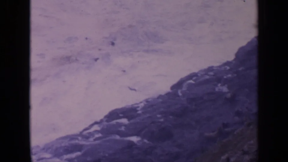 1963 home-movie footage shows foamy surf beside a diagonal band of dark coastal rocks, rendered with soft focus and purple 8mm color shift.