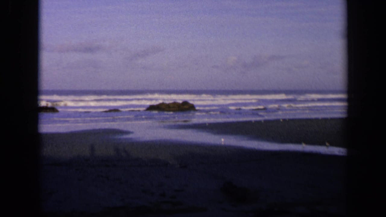 Dark-framed view of a California beach with waves, wet sand, birds, and offshore rocks.